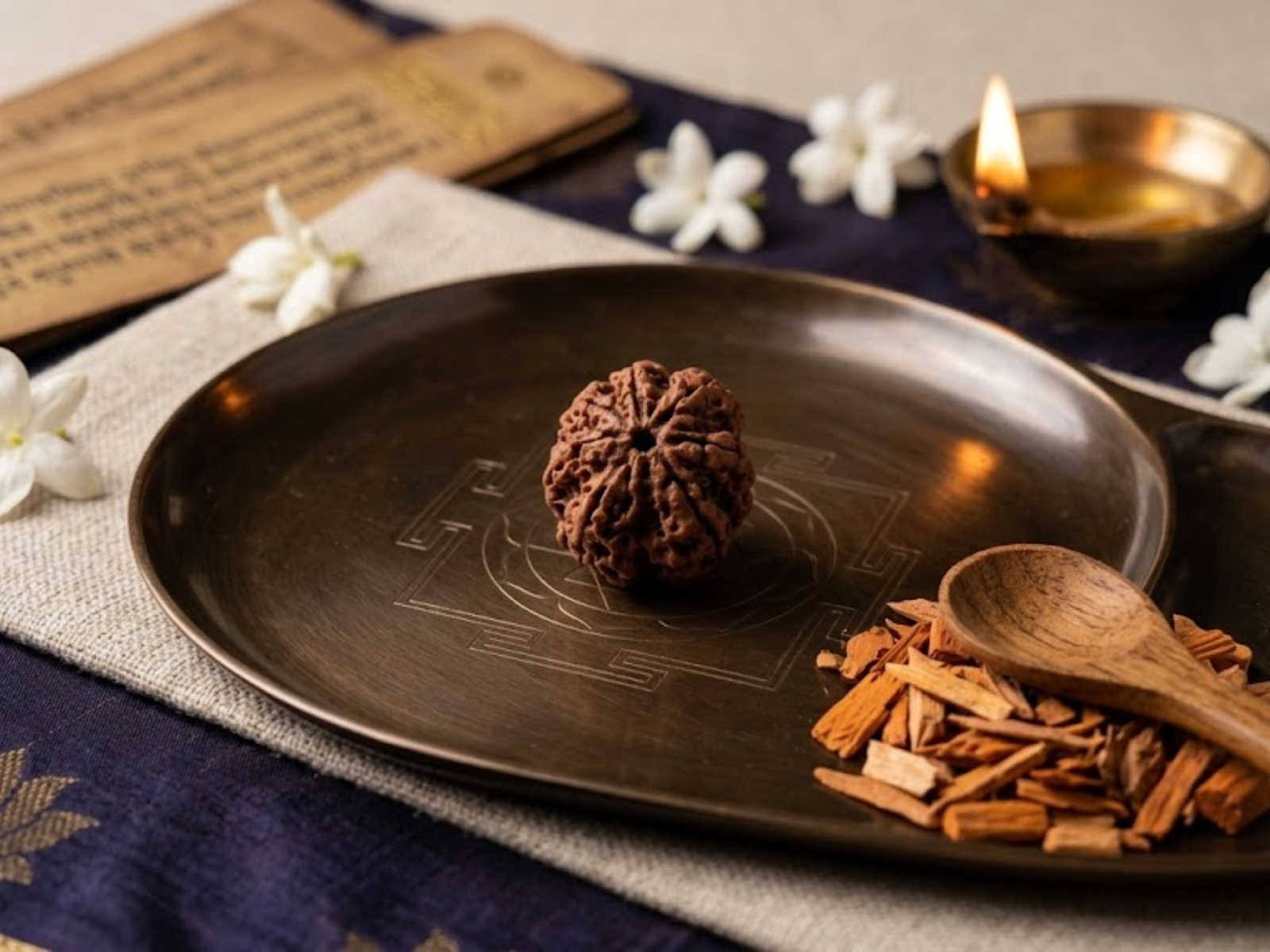 7 MUKHI RUDRAKSH (सात मुखी रुद्राक्ष)