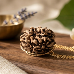 3 MUKHI RUDRAKSH (तीन मुखी रुद्राक्ष)