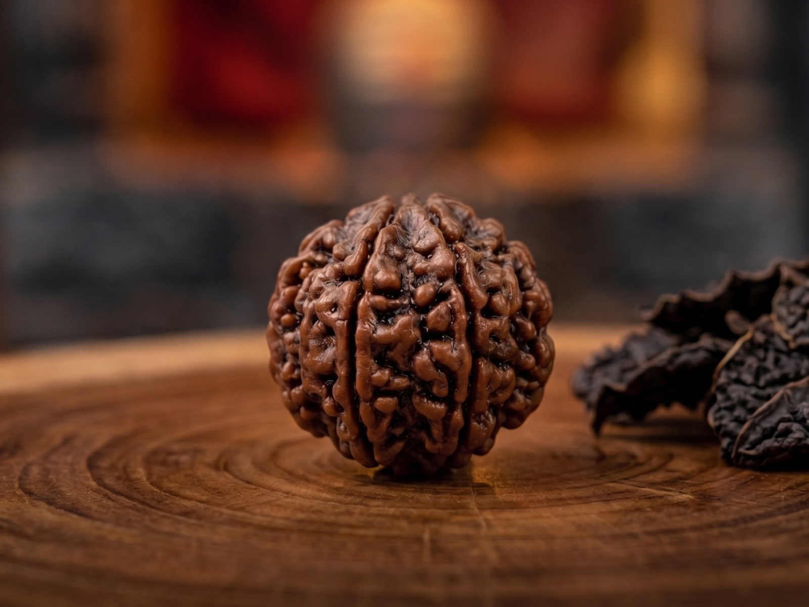 5 MUKHI RUDRAKSH (पाँच मुखी रुद्राक्ष)