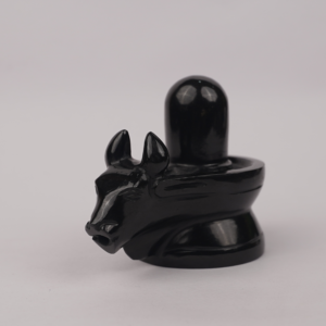 Nandi Mukh Shivling (नंदी मुख शिवलिंग)